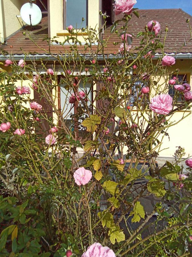Des Hortensias * Raon-aux-Bois